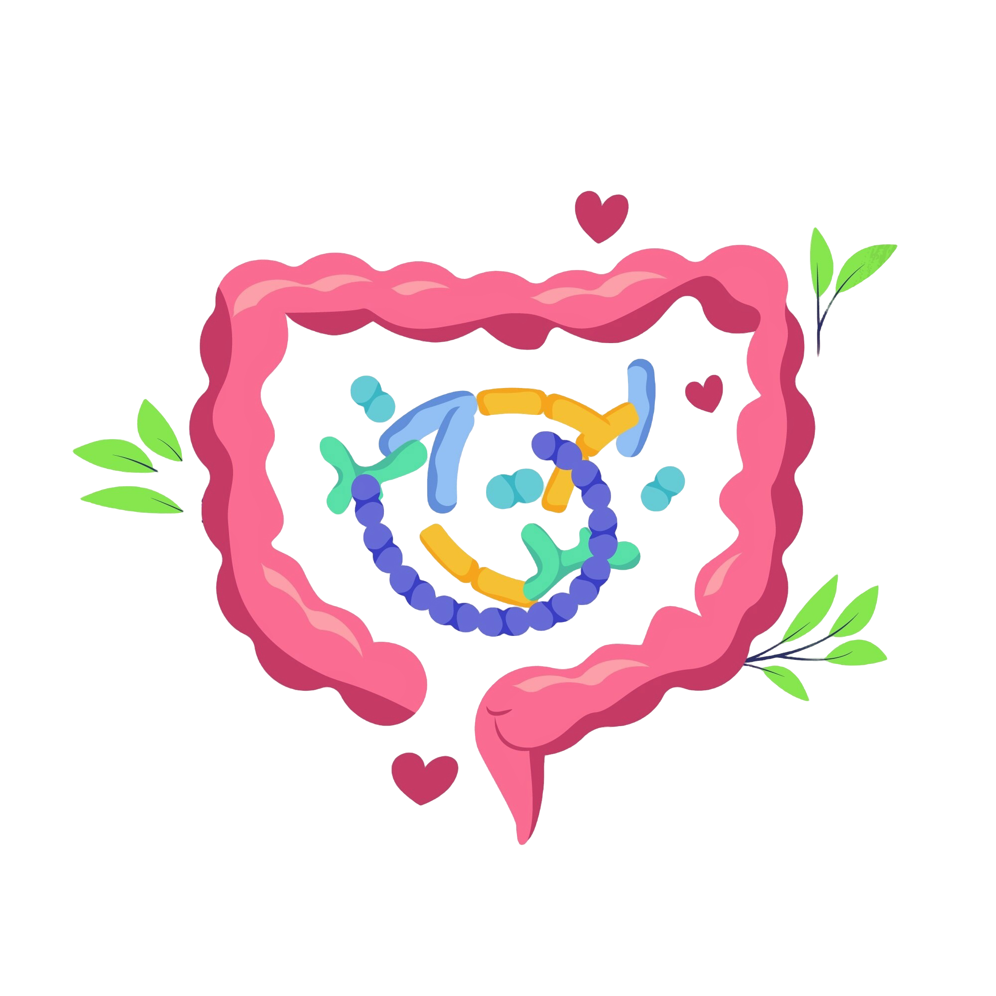 Gut Health